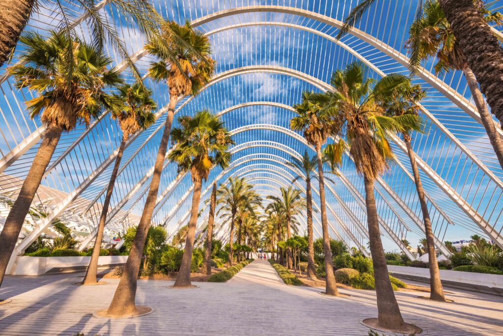 Palmbomen in het zonnige Valencia